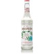 Monin Frosted Mint Syrup (70cl)