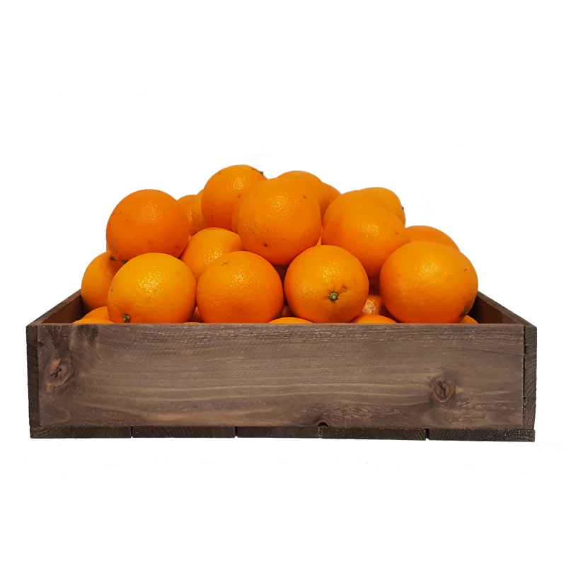 Juicing Oranges 100's - 125's (15 kg)