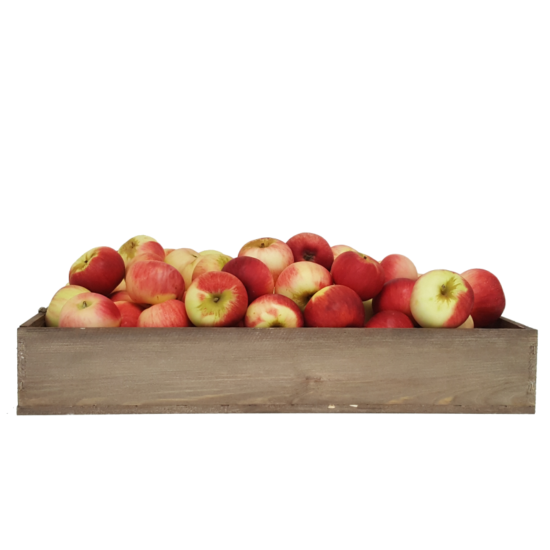 Jumble Juicing Apples (15 Kg)