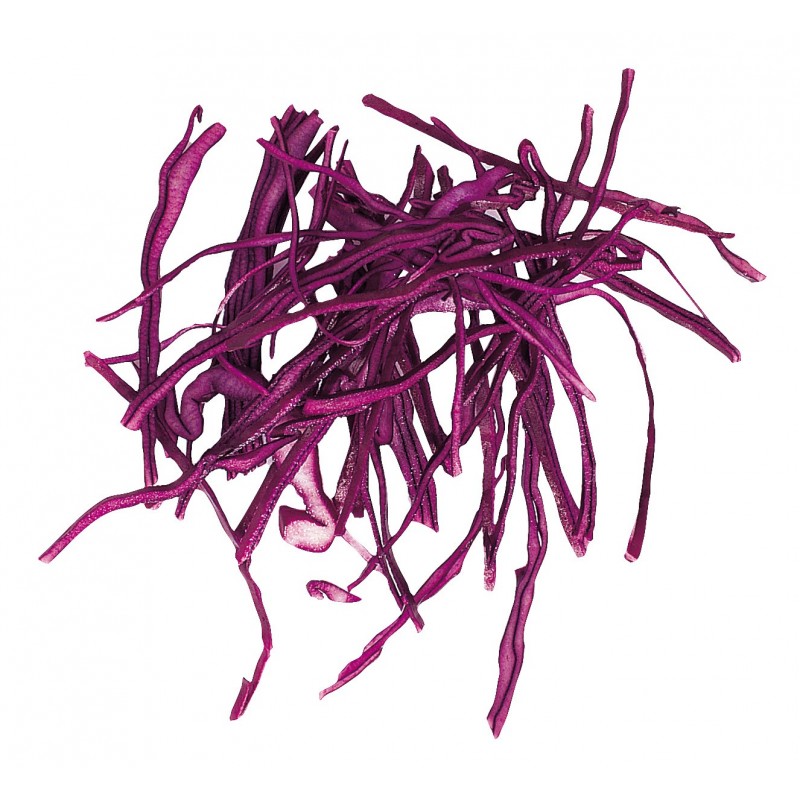 Robot Coupe R301 Ultra